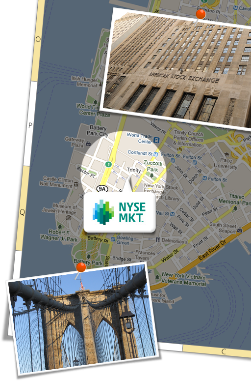 Nyse amex options trading hours