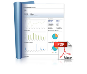 Comprehensive Snapshot PDF Reports