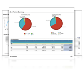 Customizeable PDF Reports
