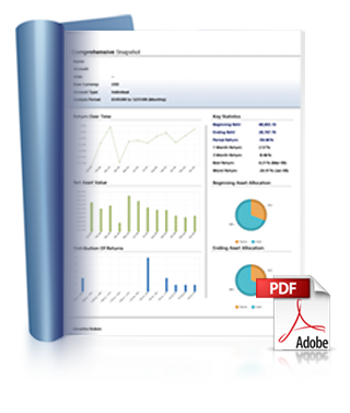 Portfolio Analyst
