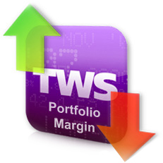Porfolio Margin Demo