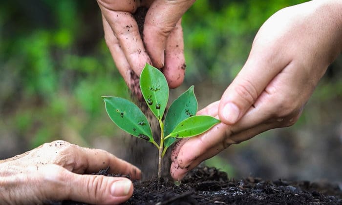 SMFG Sells Green Bonds As Climate Change Gains Ground