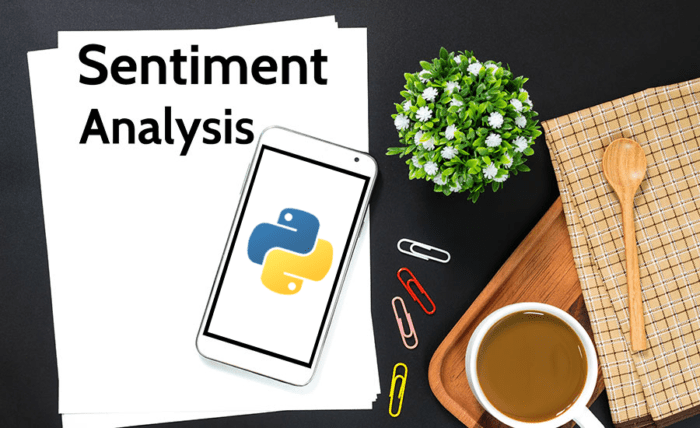 Bag of Words: Approach, Python Code, Limitations