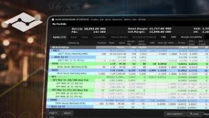 Introduction to IBKR’s Risk Navigator©