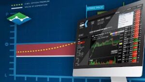 Practical Usage - Bull Market – Long Call