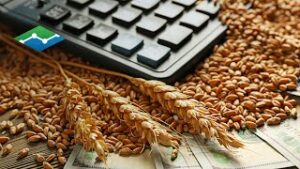 Mechanics of the Futures Market - Overview