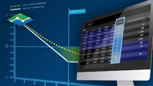 Practical Usage -- Bear Market -- Long Put