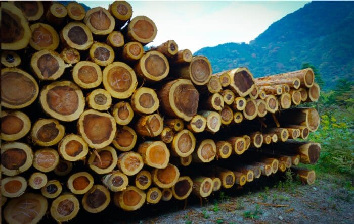 Understanding Backwardation and Contango in Futures Markets