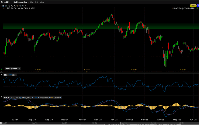 TWS Candlesticks