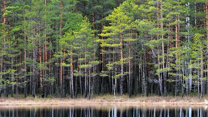 Thinking Holistically About ESG