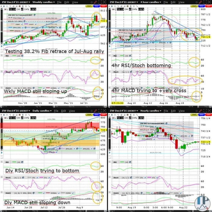 Wheat (ZW) Tests 38.2% Fib Retrace of Jul-Aug Rally