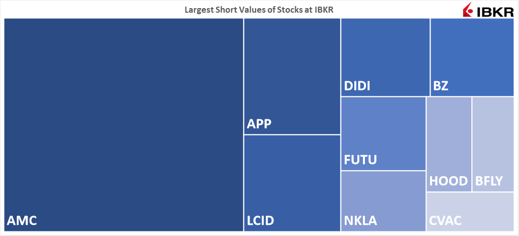 Largest Short Values of Stocks at IBKR