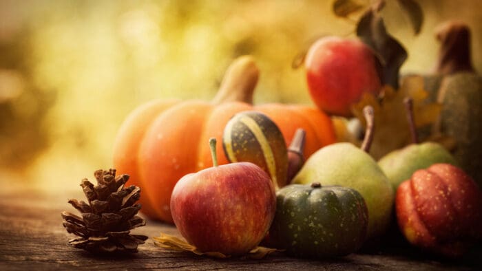 10 Reasons for Investors to Give Thanks