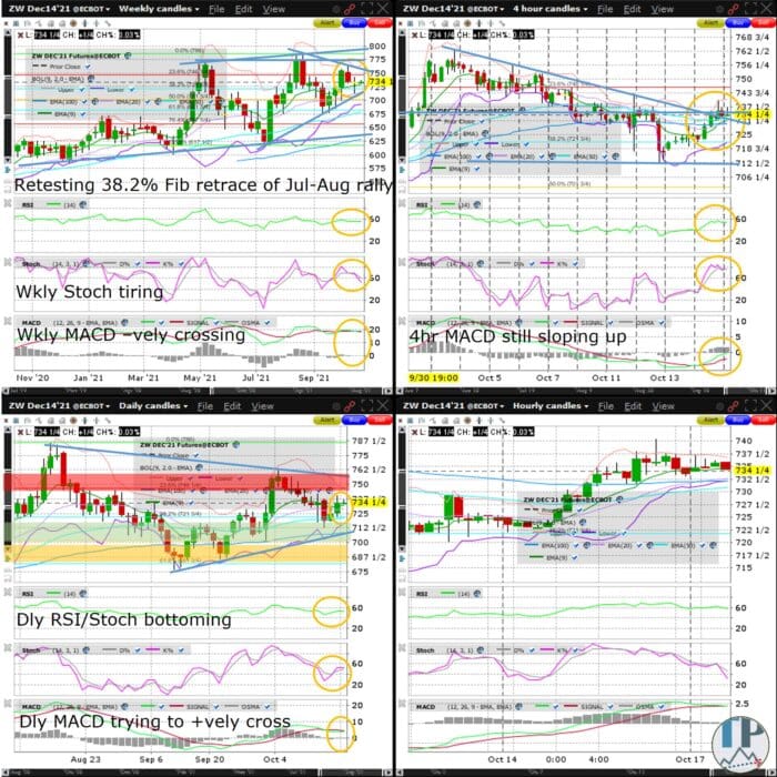 Wheat (ZW) Retesting 38.2% Fib retrace of Jul-Aug rally