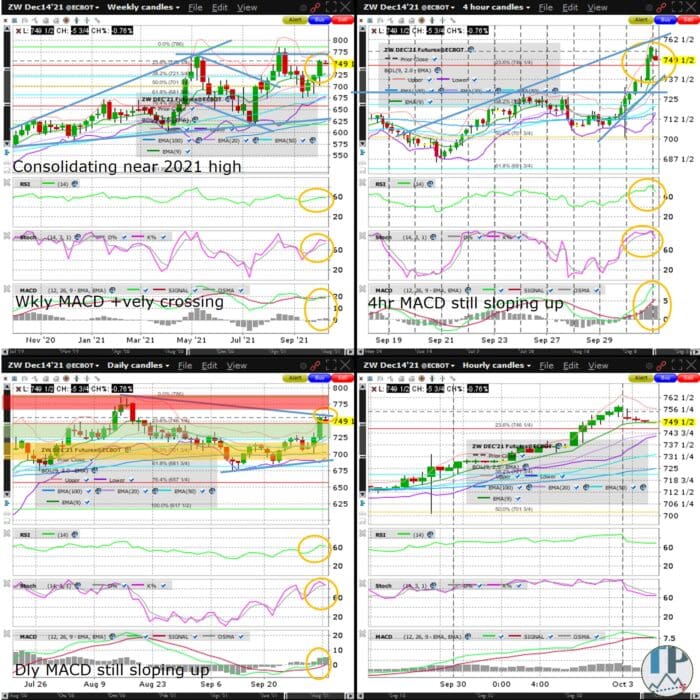Wheat (ZW) Consolidating Near 2021 High