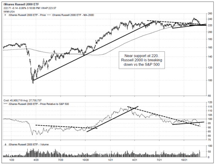 Omicron Variant Creates Near-term Uncertainty