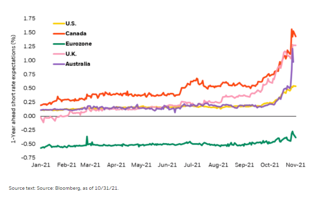 1-year forward rate expectations