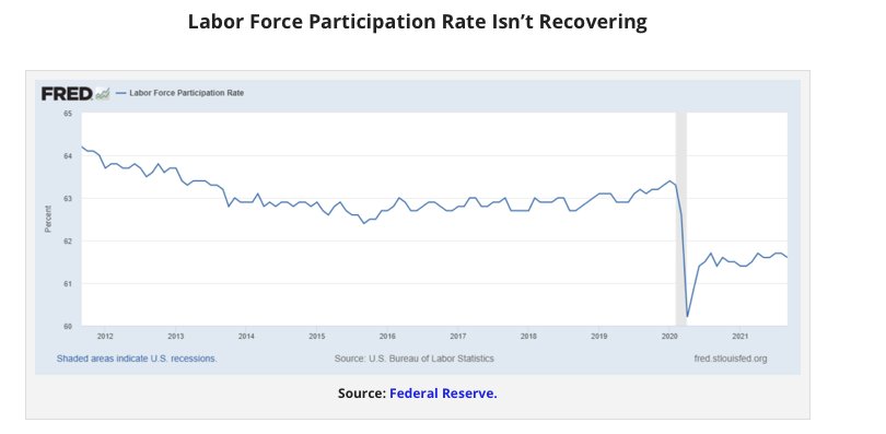 labor force participation rate