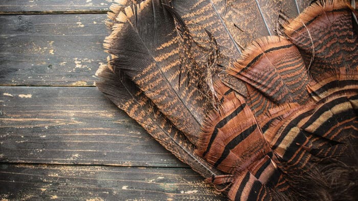 Only a Turkey Thinks a Call Option Is Like a Sports Bet