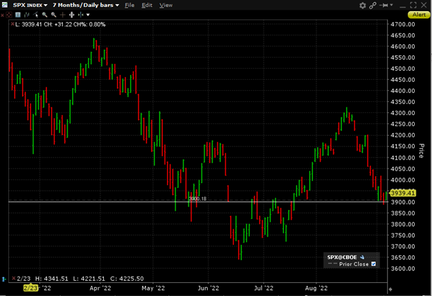 SPX, 7 Months, Daily Bars