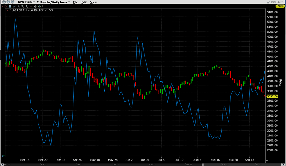 7-Months, SPX (red/green) and VIX (blue)