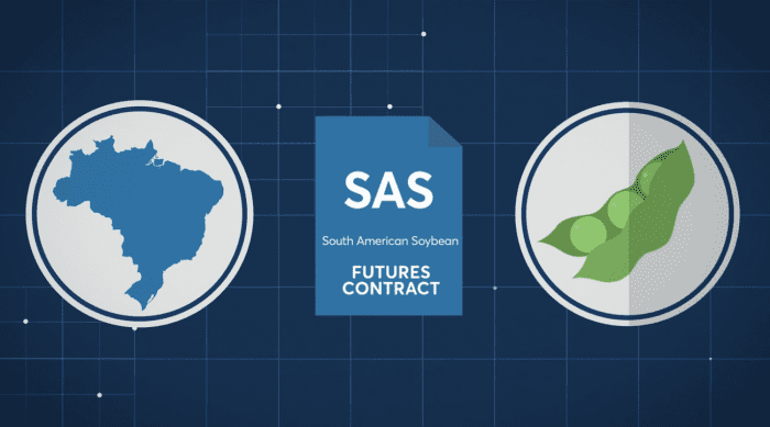 Understanding South American Soybean Futures