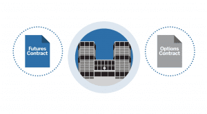 Hedging with Grain and Oilseed Futures and Options