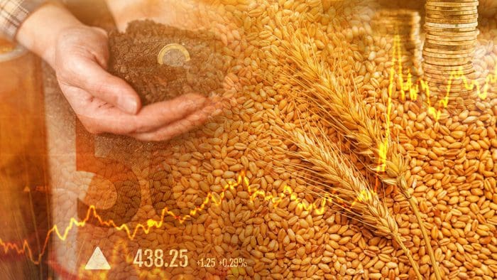 Grains and Oilseed Spread Trading