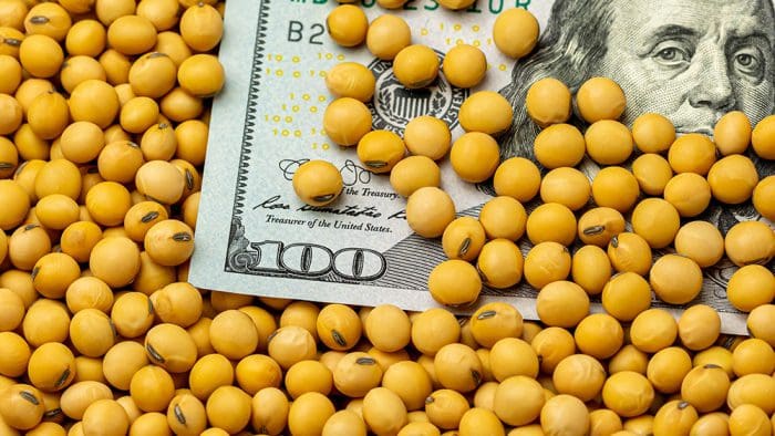 Commodities and Inflation – A Time-Tested Relationship