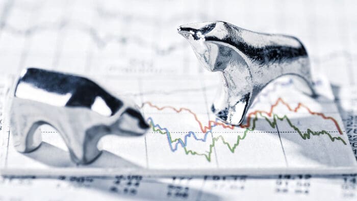 Strategic Investment Takes You Through Bull and Bear Markets