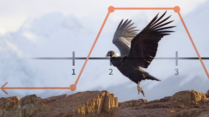 How to Screen for an Iron Condor
