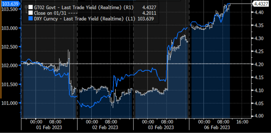 4-Day Chart, 2-Year US Treasury Note Yield (white), DXY Index (blue)