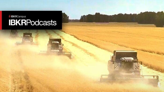 The War on Wheat – How Much Bread Is On The Table?