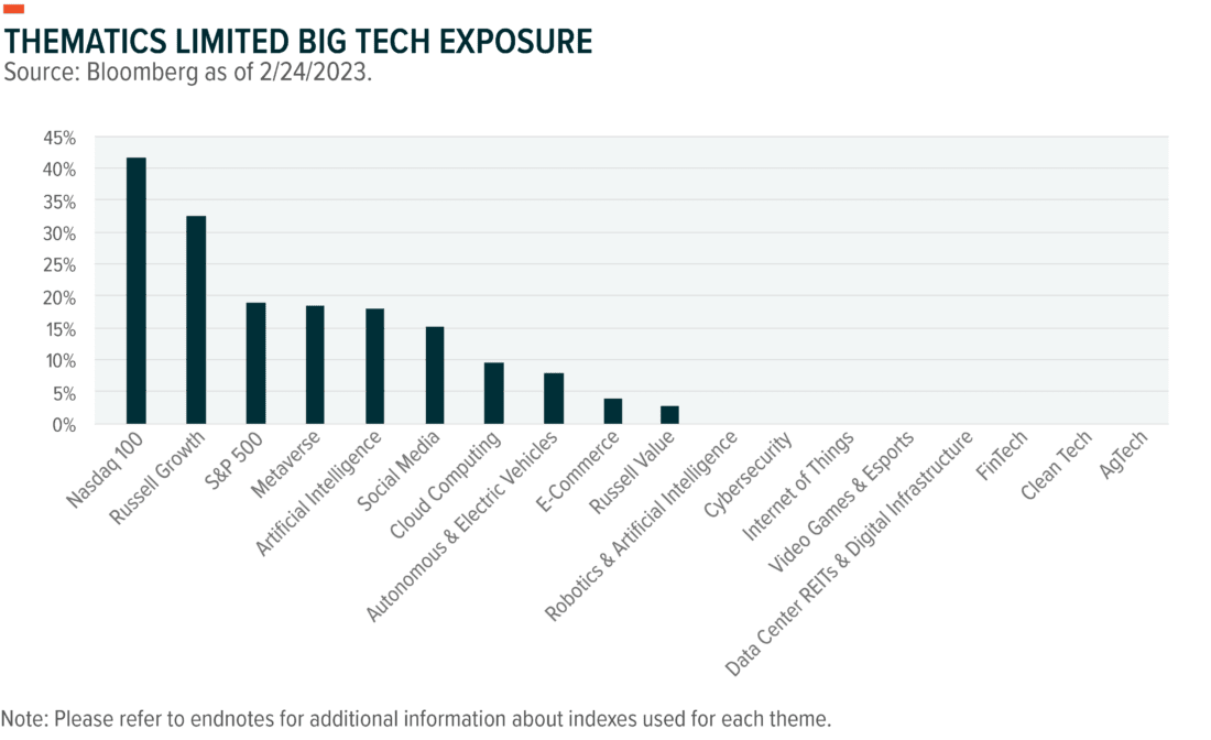 thematics limited big tech exposure