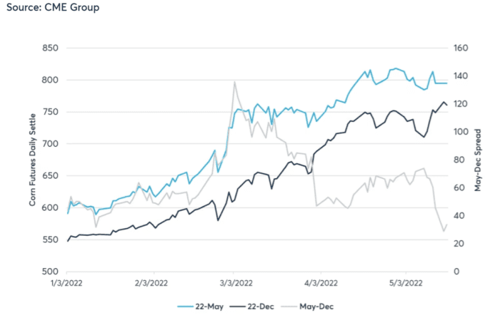 New Crop vs. Old Crop Risk of the Past Year