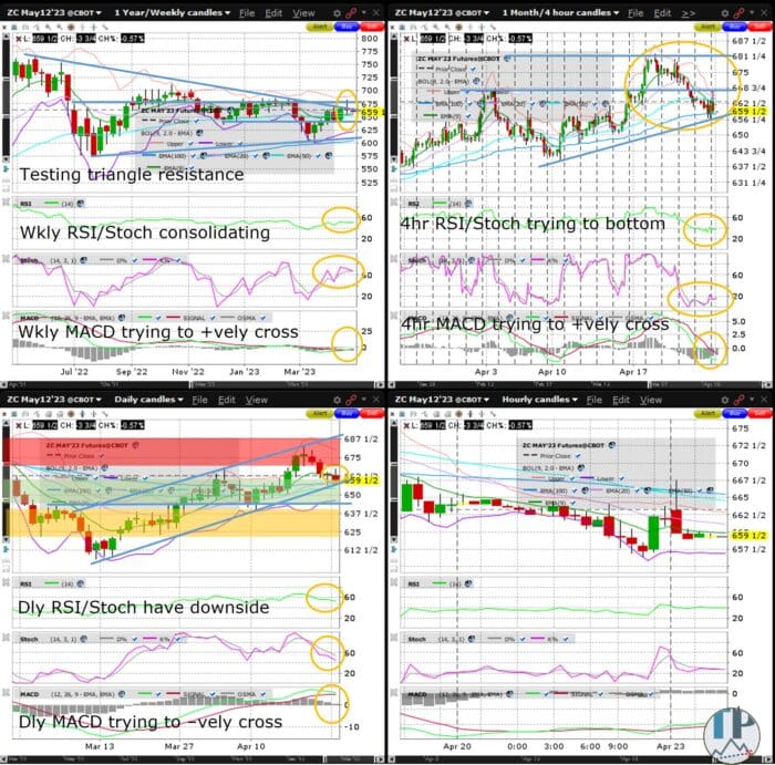 Corn (ZC) Weekly MACD Trying to Positively Cross