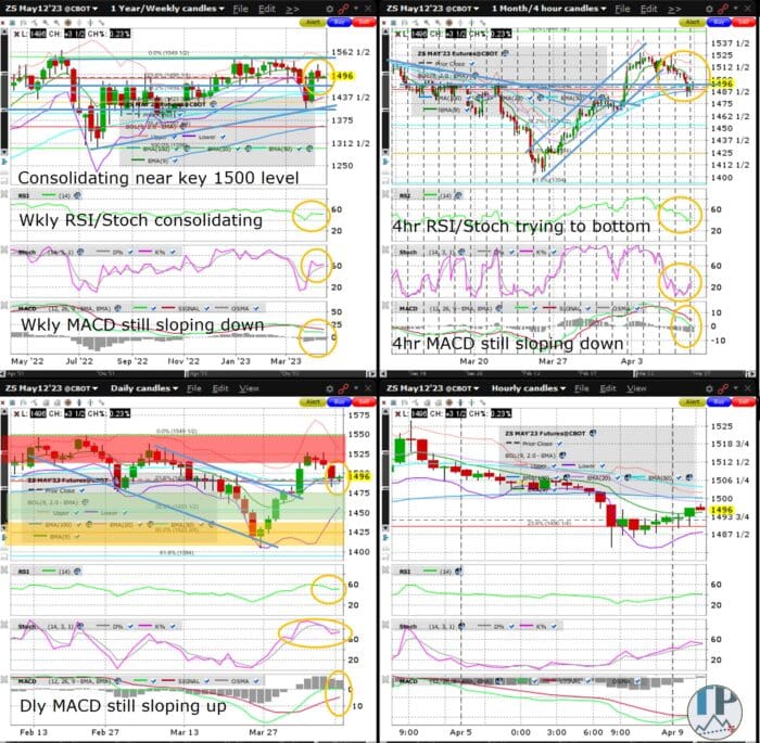 Soybean (ZS) Consolidates Near Key 1500 Level Ahead of WASDE