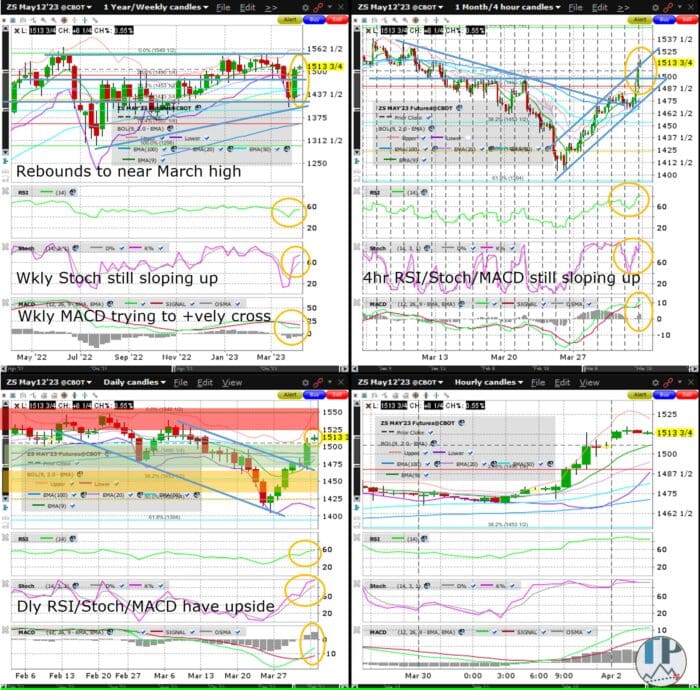 Soybean (ZS) Rebounds Above Key 1500 Level From New 2023 Low