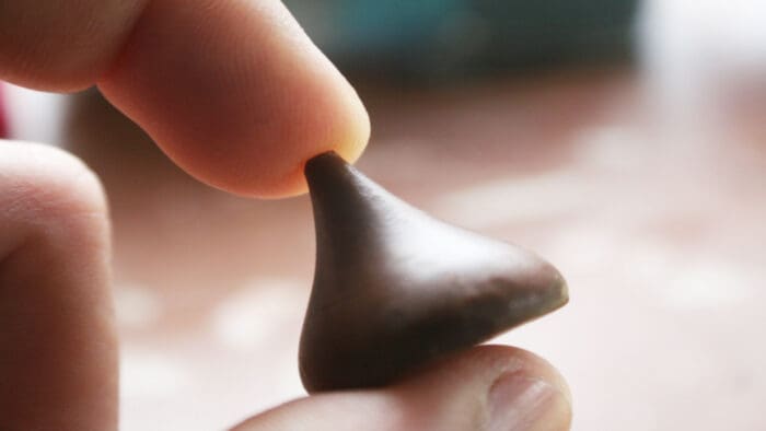 The Sweetest Debt on Earth? Bond Buyers Devour Hershey’s New Note Sale