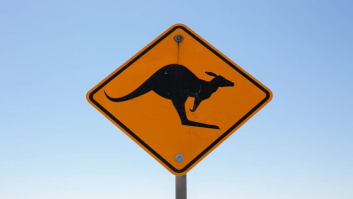 Skippy and a Different Jump