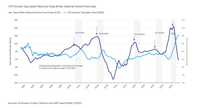 Above the Noise: Making Sense of a Bizarre Market Cycle