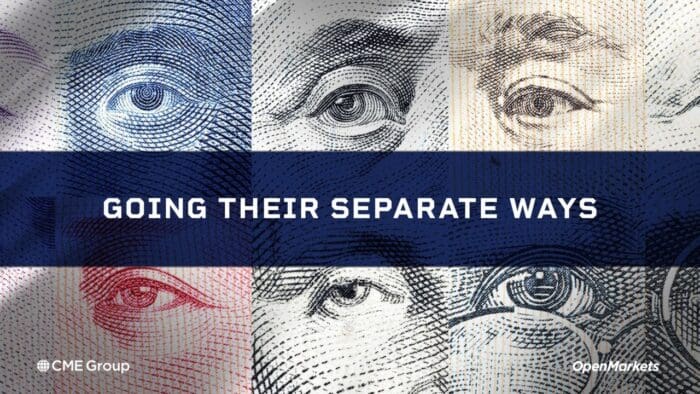 Economist Perspective: Global Interest Rate Divergence