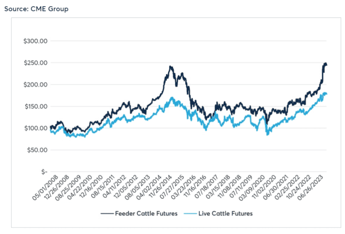 The Cattle Cycle Continues