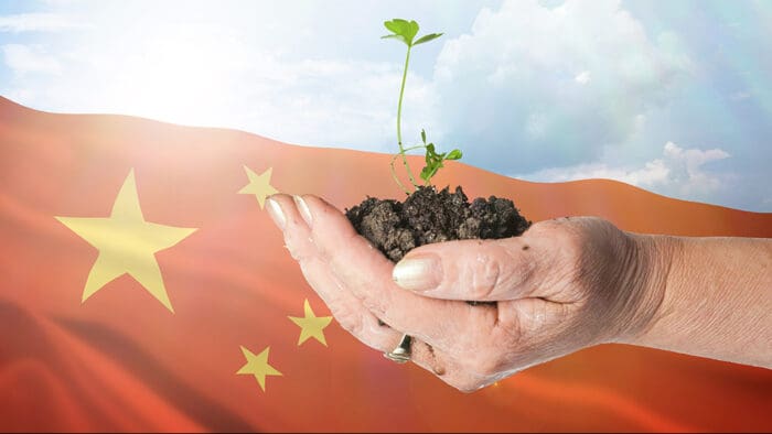 The China Opportunity Behind the Global Energy Transition