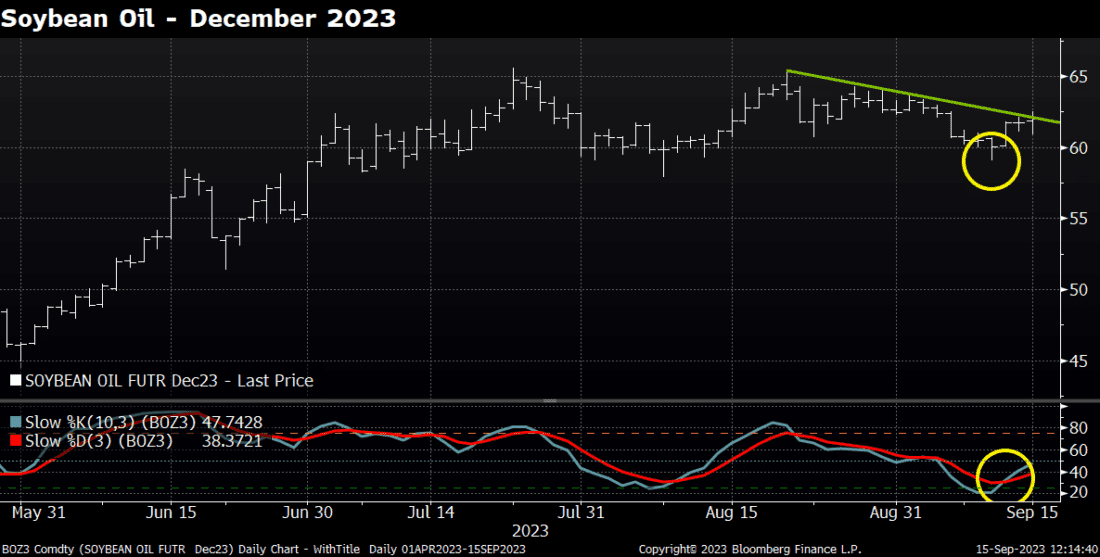 Soybean Oil - December 2023