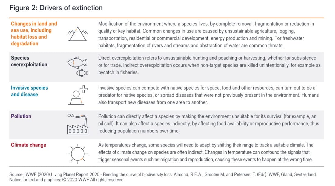 Figure 2: Five key drivers of species extinction