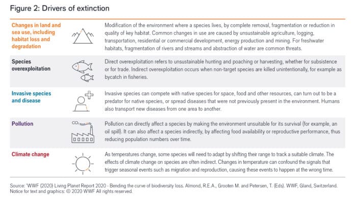 ESG Perspective: What Is Natural Capital And Why Do We Care?