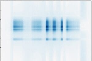 ICA on Images with Python | IBKR Quant