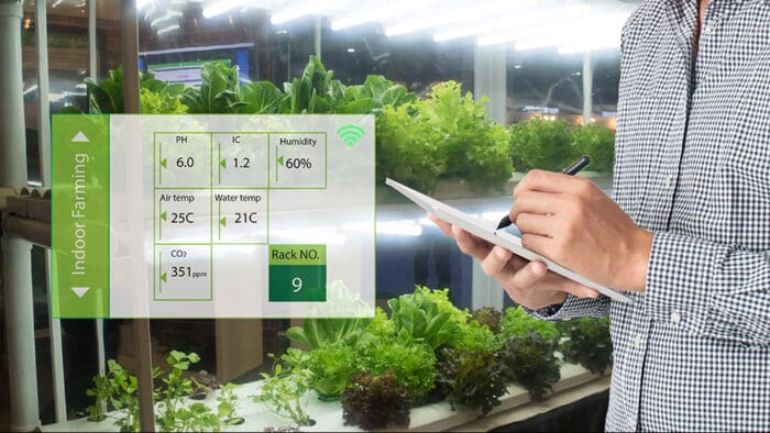 Investing in Indoor Farming: Lessons Learned and the Way Forward