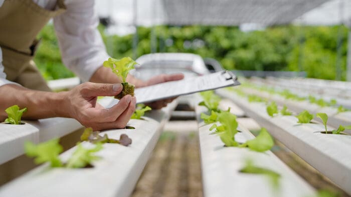 Vertical Farming – Navigating a Buyers’ Market